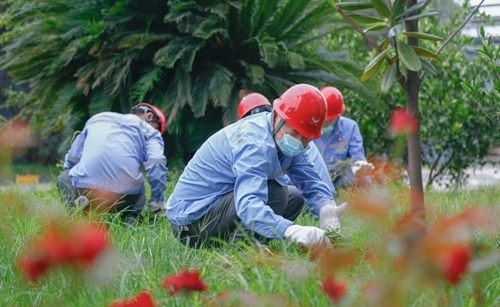 集團總部機關干部到股份公司勞動(圖7) 集團總部機關干部到股份公司勞動(圖7)