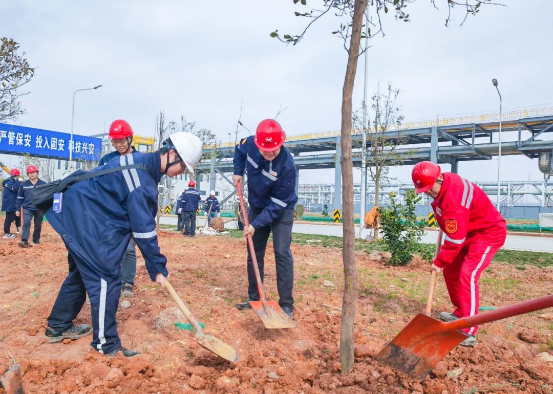 “植”此青綠共“樹”未來!集團(tuán)各公司開展植樹活動(圖10) “植”此青綠共“樹”未來!集團(tuán)各公司開展植樹活動(圖10)