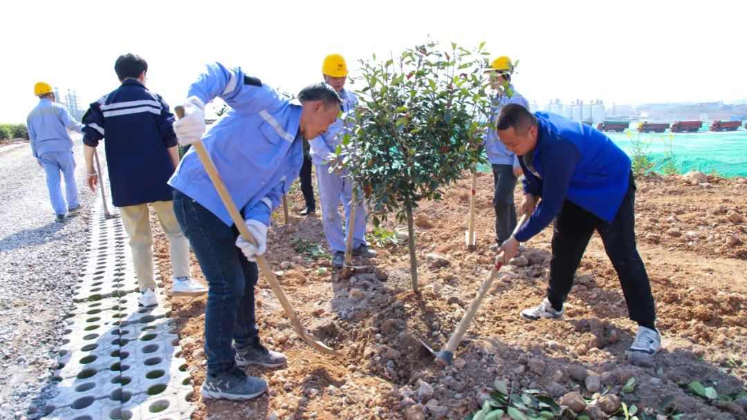 “植”此青綠共“樹”未來!集團(tuán)各公司開展植樹活動(圖14) “植”此青綠共“樹”未來!集團(tuán)各公司開展植樹活動(圖14)
