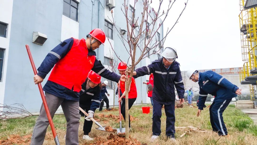 “植”此青綠共“樹”未來!集團(tuán)各公司開展植樹活動(圖26) “植”此青綠共“樹”未來!集團(tuán)各公司開展植樹活動(圖26)
