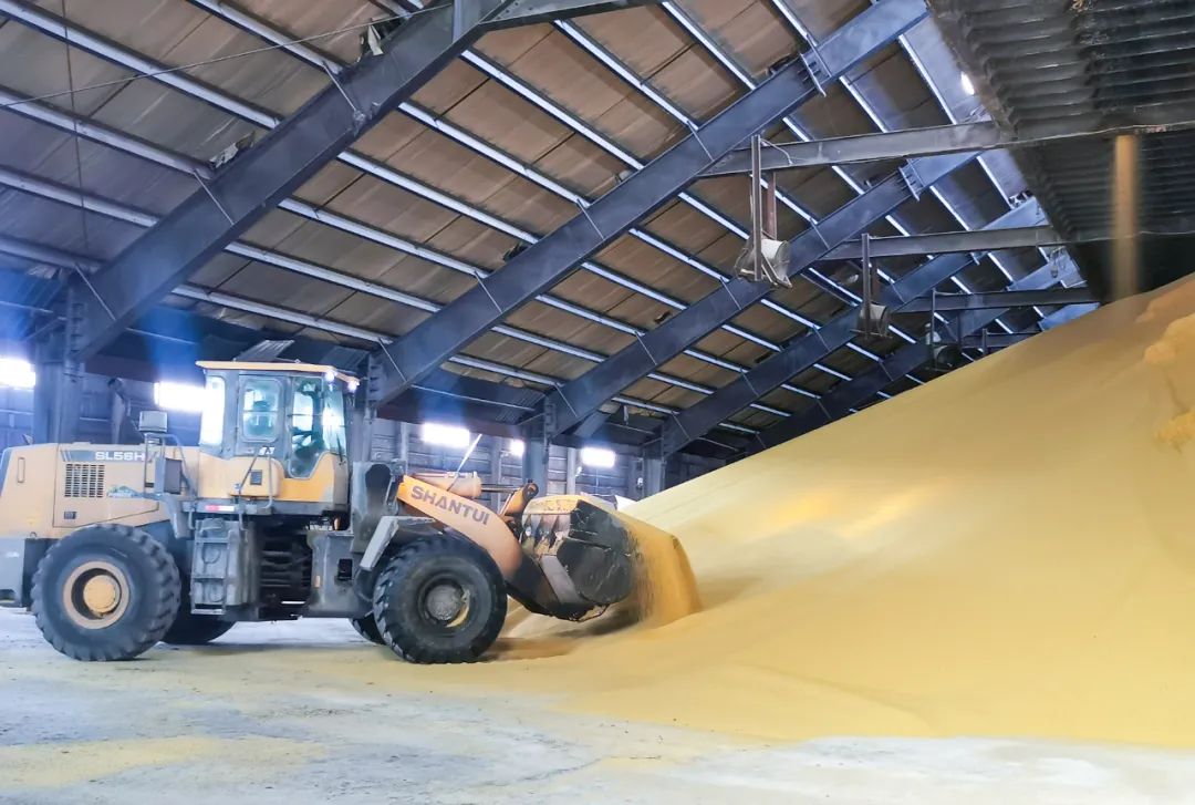 股份公司磷銨分廠:優化生產提質量,深挖潛力創效益(圖3) 股份公司磷銨分廠:優化生產提質量,深挖潛力創效益(圖3)