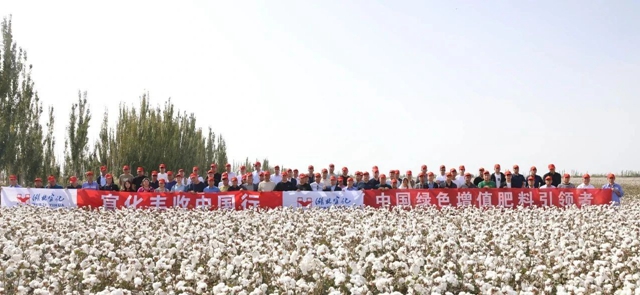 宜化豐收中國行!新疆棉花大型測產觀摩會成功舉行(圖1) 宜化豐收中國行!新疆棉花大型測產觀摩會成功舉行(圖1)