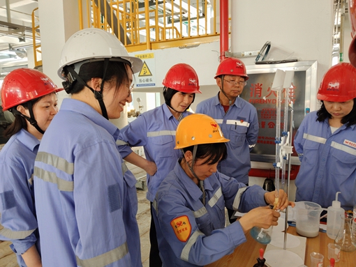 亮身份 亮承諾 亮業績——宜化黨員一線攻堅助推項目“拔節生長”