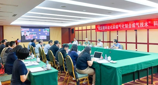 通過鑒定！新疆宜化一項技術(shù)達國際領(lǐng)先水平！